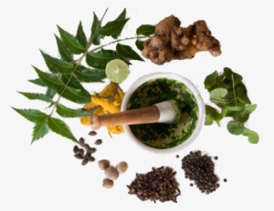 About Kankayan Ayurved Mahachikitsalay - Natural Remedies For Beginners: How To Protect, Cure #2563722