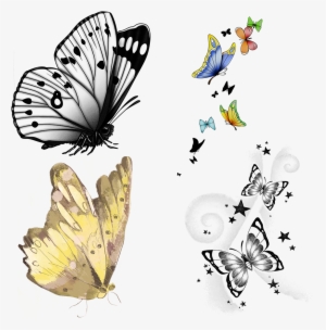 Use These Sample Clipart Items From The Butterfly Clip - Picsart Butterfly #2564342