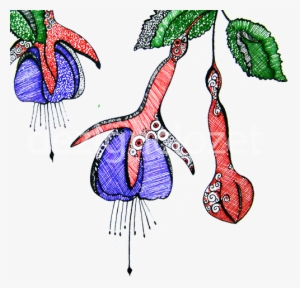 'fuschias' - Fuchsia #2564779