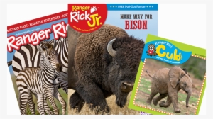 Ranger Rick Jr. - One Year Subscription #2564933