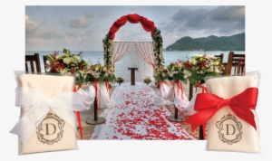 White Ribbon Hankybook - Destination Wedding Near Mumbai #2565562