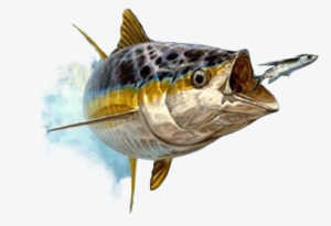 Taken From The Real Life Imagery Of Don Ray's Artwork - Don Ray - Approaching Front - Yellow Fin Tuna #2566709