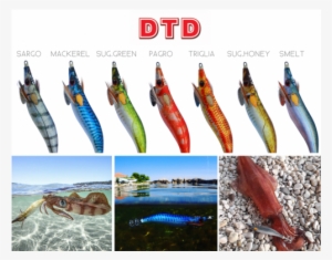 More Views - Jibioneras Dtd Real Fish Oita Sm - Dtd #2567146