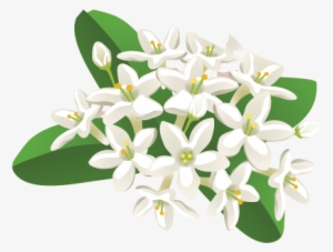 Related Wallpapers - Philippines National Symbol Clipart #2568083