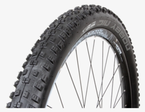 Schwalbe #2568099