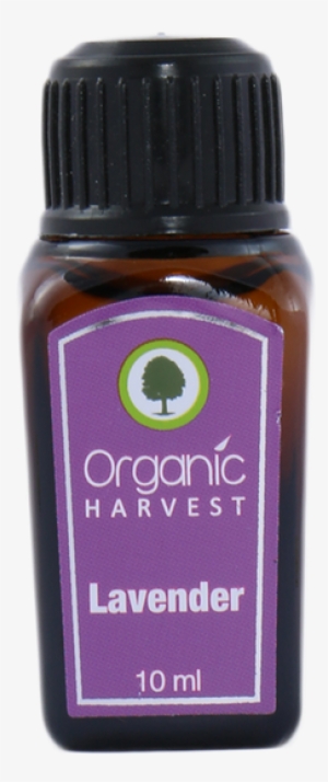 Add To Wishlist Loading - Cosmetics #2568171