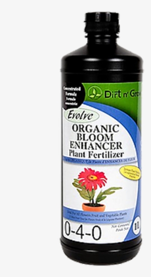 Organic Bloom #2568754