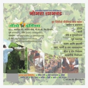 Agriculture #2568811