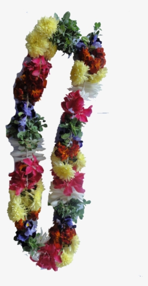 String St - Kathambam Flower #2569255