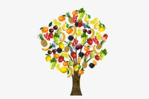 Beneficios Del Retinol - Arbol De Frutas Png #2569369