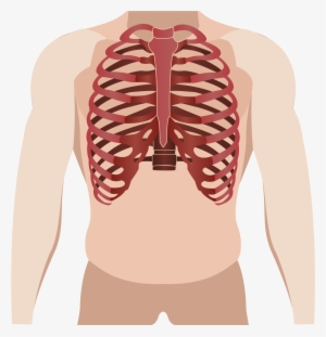 Related Wallpapers - Illustration #2569396