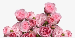 Roses, Love, Wedding, Romantic - Cafepress ! Samsung Galaxy S8 Plus Case #2569403