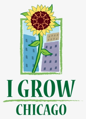 More Info - Igrowchicago - Org - Fb/i Grow Chicago - I Grow Chicago #2569558