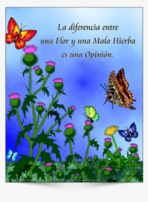The Difference Between A Flower - Seasons Of The Soul [book] #2569684