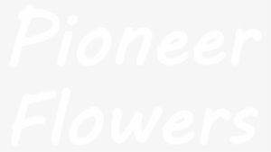 Ps4 Logo White Transparent #2569831