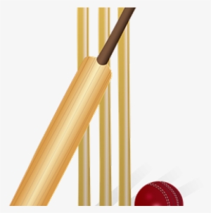 Day Without Cricket Throw Blanket #2569862