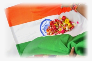 I3 - Artificial Flower #2569891