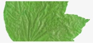 Newsletter Signup - Quilt #2570030