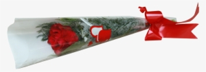 Single Rose With Cellophane Cone - Single Rose In Cellophane #2570362