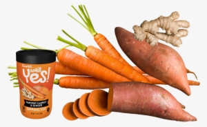 Harvest Carrot & Ginger Sipping Soup - Soup #2570503