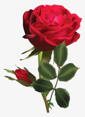Christine Staniforth ♛༻ Rose Flower Png, Rose Paintings, - Dark Red Rose Flower #2570532