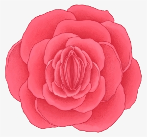 Rose Vagina #2570737