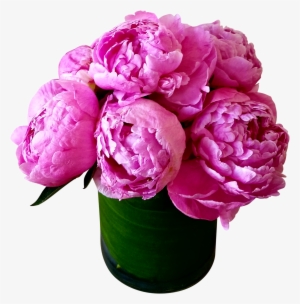 Birthday Hot Peonies - Parfum Luminata #2570904 Birthday Hot Peonies - Parfum Luminata #2570904