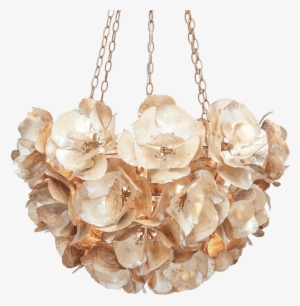 Oyster Chandelier #2571650