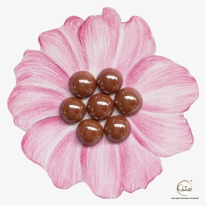 Brown - Zinnia #2571807