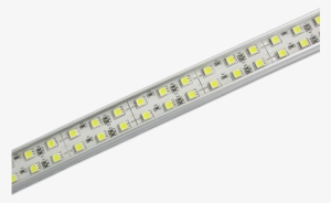 Light #2572056