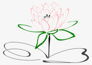 Lotus Flower Blossom Plant Nature Pink Blo - Drawing Lotus Flower #2572334