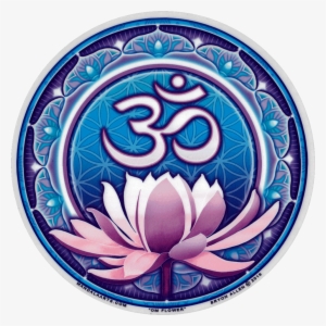 Window Sticker / Decal - Sticker #2572359