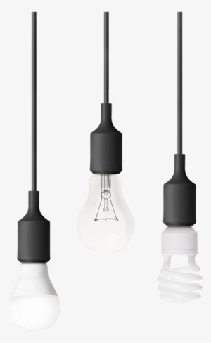 Lightbulb Compatibility - Lampshade #2572424