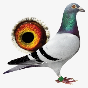 New - Auction #2573192