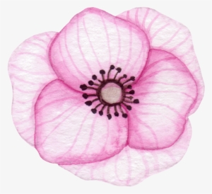 Baby Naming Services - California #2573373