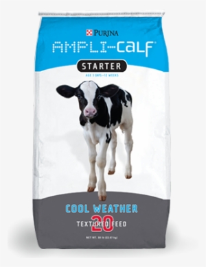 Image Of Ampli-calf® Starter 20 Feed Bag - Ampli Calf #2573965