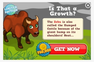 As Humped Cattle, Indicus Cattle, Cebu Or Brahmin Cattle - Happy Island #2574239