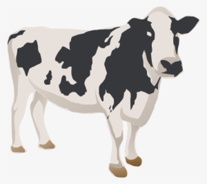 Cow - Cattle #2574329