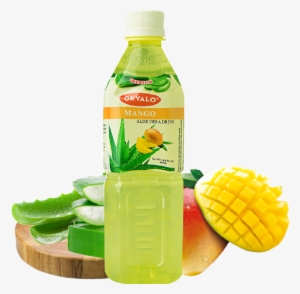 500ml Mango Aloe Vera Premium Drink - Aloe Vera Pulp Mango Juice #2574819