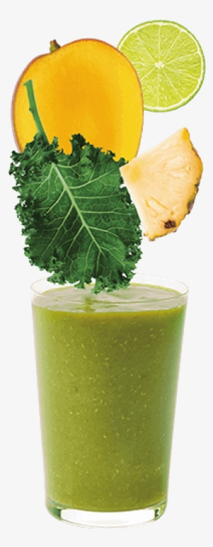 Green Mango Pre-pro - Veggie Evolution Zen Nori Kale Crisps - 1.5 Oz Pouch #2575066 Green Mango Pre-pro - Veggie Evolution Zen Nori Kale Crisps - 1.5 Oz Pouch #2575066