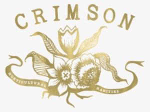 The Top Best Flowers & Gifts Near Me - Crimson Horticultural Rarities #2575095