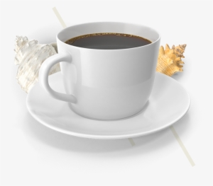 Beverages - Nole Cafe #2575389