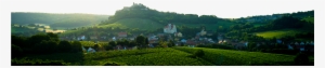 Weinviertel #2575639