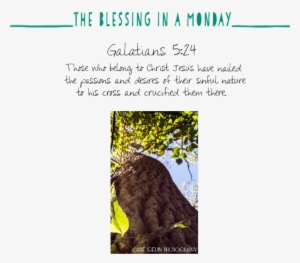 The Blessing In A Monday - Religious Text #2575979
