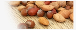 Almond #2576535