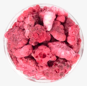 Raspberry Freeze Dried Diced - Raspberry #2576615