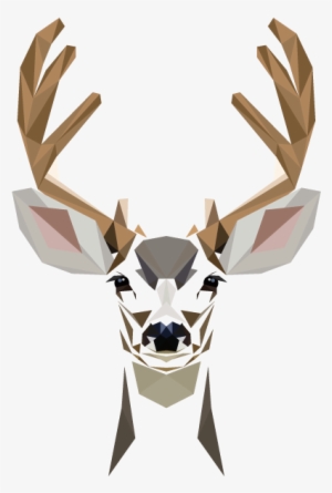 Animal Graphics - Animal Graphic Png #2577048