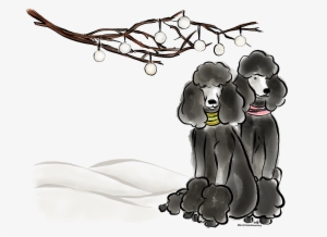 Dog - Poodle Quotes #2577410