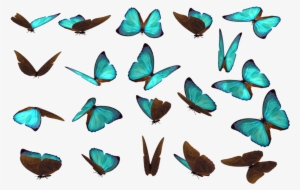 Butterfly 14 By Wolverine041269 - Butterfly Png Pack #2577443