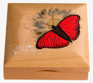 Zoom - Plywood #2578033